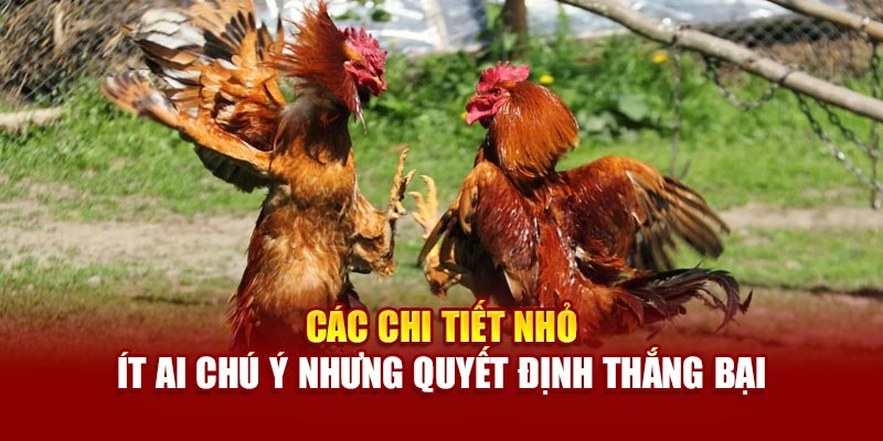 Các chi tiết nhỏ ít ai chú ý nhưng quyết định thắng bại
