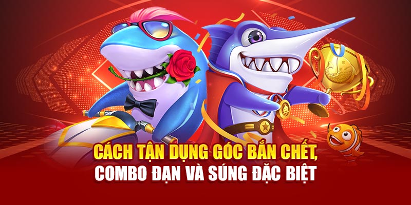 Cách tận dụng góc bắn chết, combo đạn và súng đặc biệt