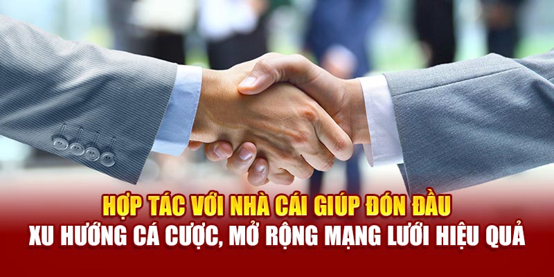 Hợp tác với nhà cái giúp đón đầu xu hướng cá cược, mở rộng mạng lưới hiệu quả