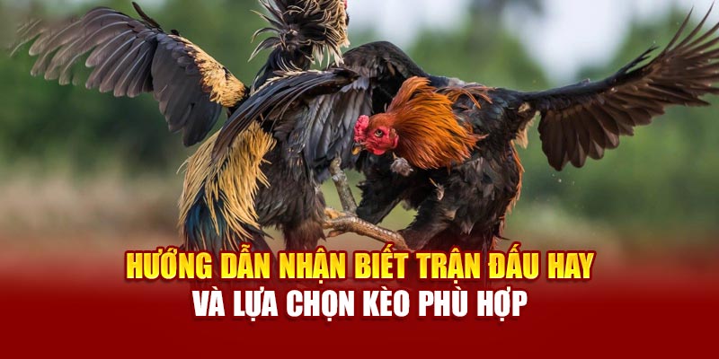 Hướng dẫn nhận biết trận đấu hay và lựa chọn kèo phù hợp