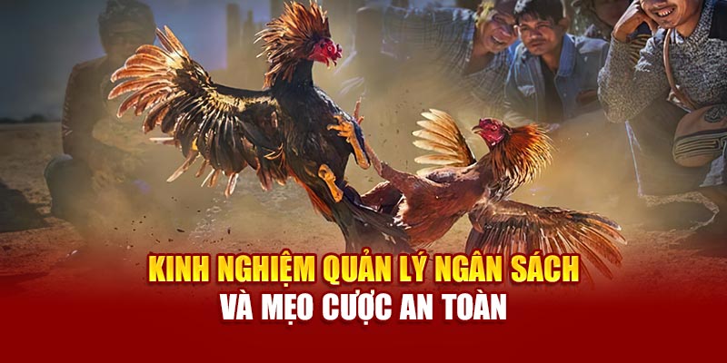 Kinh nghiệm quản lý ngân sách và mẹo cược an toàn
