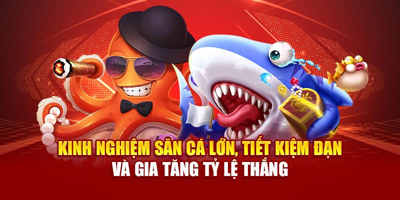 Kinh nghiệm săn cá lớn, tiết kiệm đạn và gia tăng tỷ lệ thắng