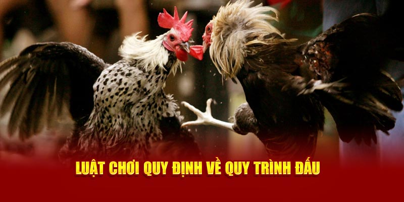 Luật chơi quy định về quy trình đấu 
