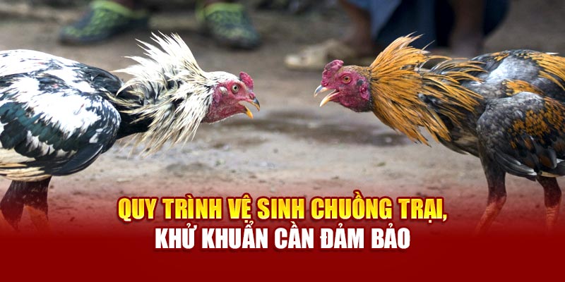 Quy trình vệ sinh chuồng trại, khử khuẩn cần đảm bảo