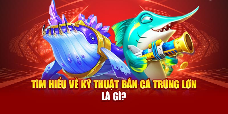 Tìm hiểu về kỹ thuật bắn cá trúng lớn là gì?